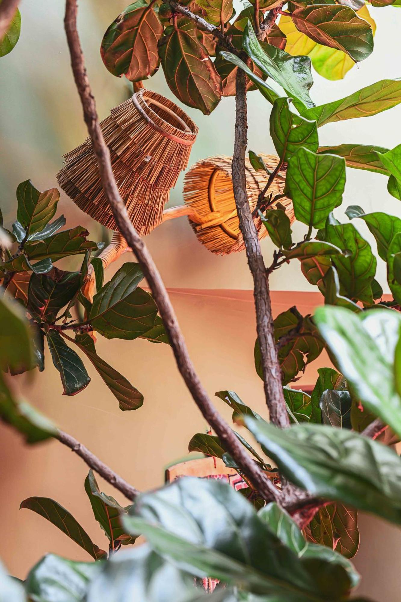 Riad Olive Privatif 4 Personnes Hotel มาร์ราเกช ภายนอก รูปภาพ
