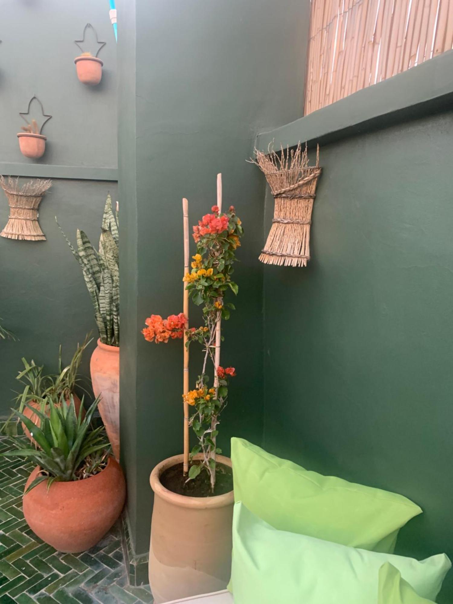 Riad Olive Privatif 4 Personnes Hotel มาร์ราเกช ภายนอก รูปภาพ